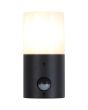 Searchlight SL-39220BK-PIR Buitenwandlamp Colorado zwart 18cm