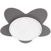 Plafondlamp Bloem sterrenlicht zilver 60cm