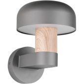 Trio Fraser 262560135 antraciet buitenlamp met hout imitatie