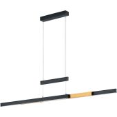 Trio Trajan 375310502 zwart met messing hanglamp