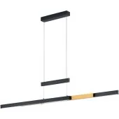 Trio Trajan 375310502 zwart met messing hanglamp