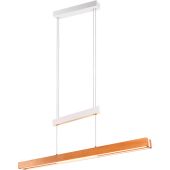 Trio Trajan 375390531 verlengbare hanglamp
