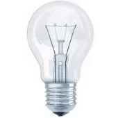 A60 E27 gloeilamp peer 60w helder