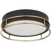Searchlight Phoenix 62012-2PB zwarte badkamerlamp met messing rand
