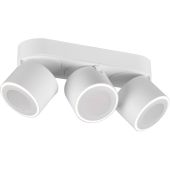 Trio Taurus 652910331 witte plafondspot