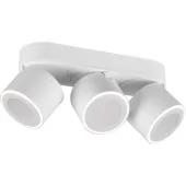 Trio Taurus 652910331 witte plafondspot