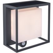 Sensorlamp Curtis solar antraciet 19cm