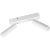 Trio Ambala 849210231 witte spot met instelbare lichtkleur