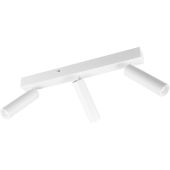 Trio Ambala 849210331 witte spot met instelbare lichtkleur