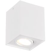 Trio Biscuit 613000131