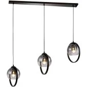 Freelight Aureol H2233SK zwarte hanglamp met rookglas