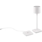 Trio Fernandez R54096131 oplaadbare tafellamp