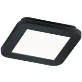 Trio Camillus R62931032 zwarte badkamer plafonniere