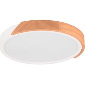Trio Jano R67201131 plafondlamp