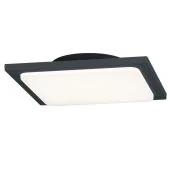 Trio Trave 620160142 plafondlamp antraciet