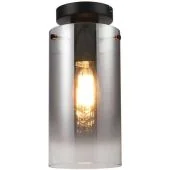 Freelight Ventotto PL5821SK
