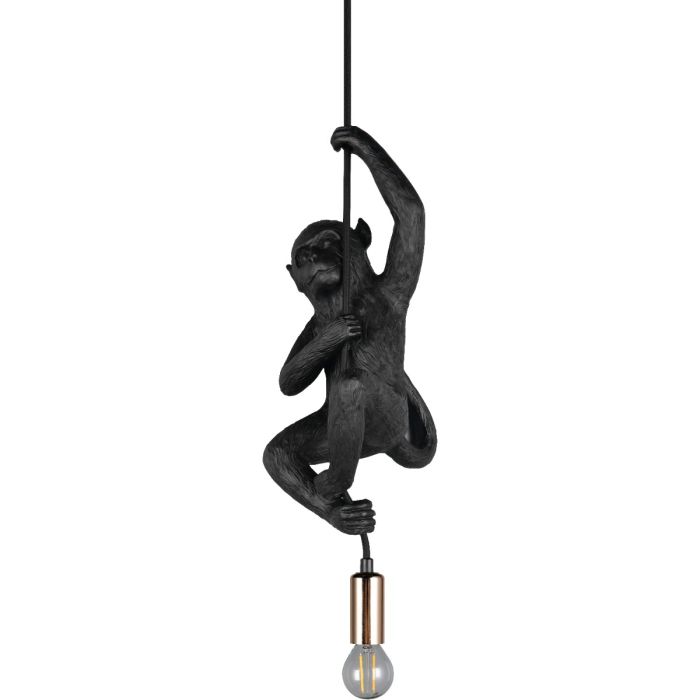 Trio  R36551002-TR Hanglamp Fips zwart 15cm