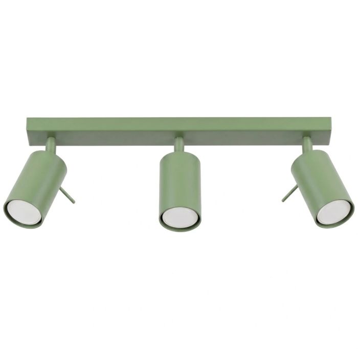 Soll SOL2179 Plafondspot Ring saliegroen 45cm