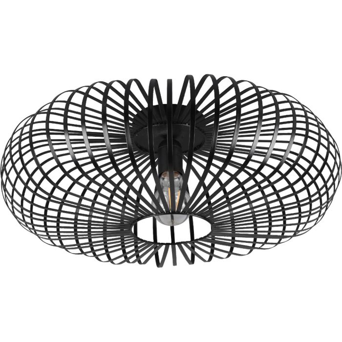 Trio Johann 606905032 mat zwarte plafondlamp