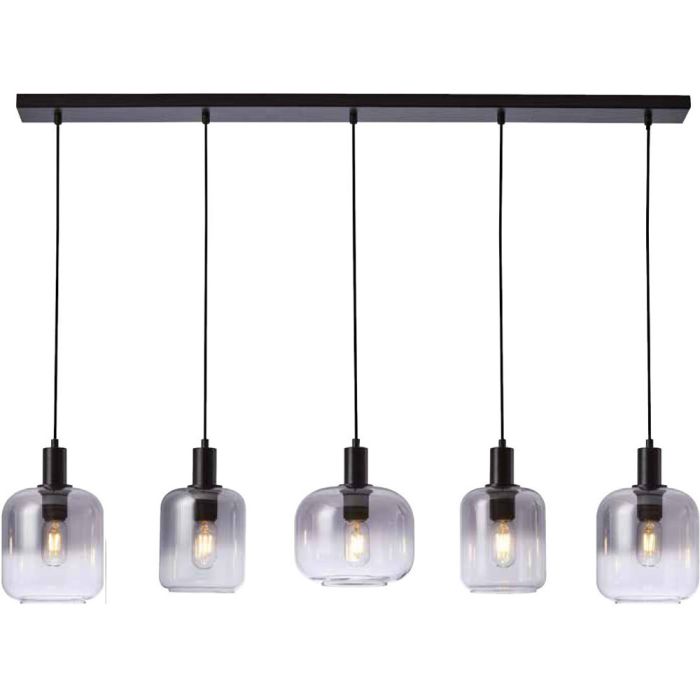 Freelight Vario H2635SK zwarte hanglamp met rookglas
