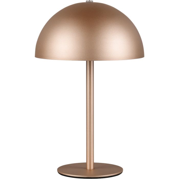 Reality Munoz R54891165 koffie bruin oplaadbaar tafellampje