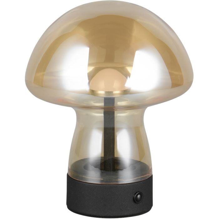 Reality Dooley R54981113 amber glazen oplaadbare tafellamp