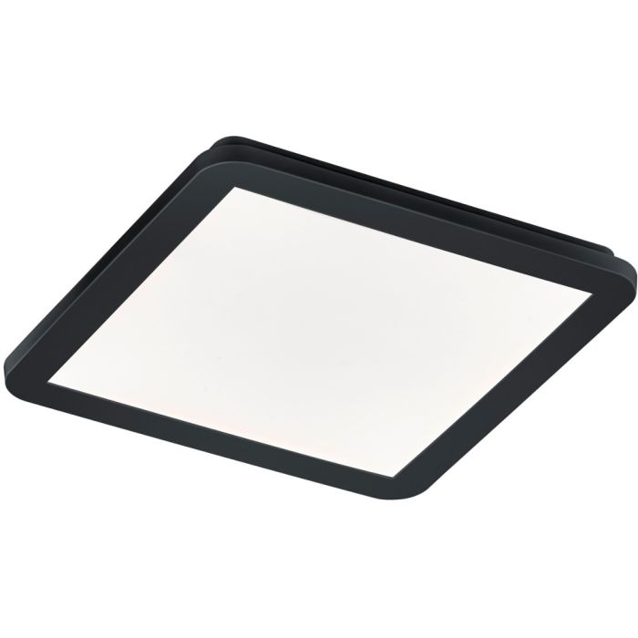 Trio Camillus R62931832 zwarte badkamer plafondlamp