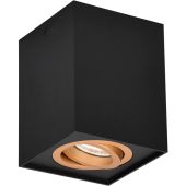 Trio  613000180-TR Plafondlamp Biscuit zwartgoud 10cm