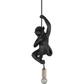 Trio  R36551002-TR Hanglamp Fips zwart 15cm