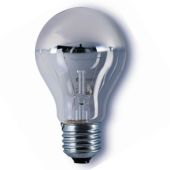 Overig-onbekend 15-A-100ZILVER Kopspiegellamp zilver E27 100w