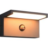 Trio  238669142-TR Sensorlamp Ravi antraciet 18cm
