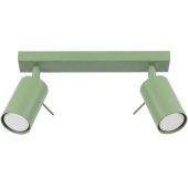 Soll SOL2178 Plafondspot Ring saliegroen 30cm